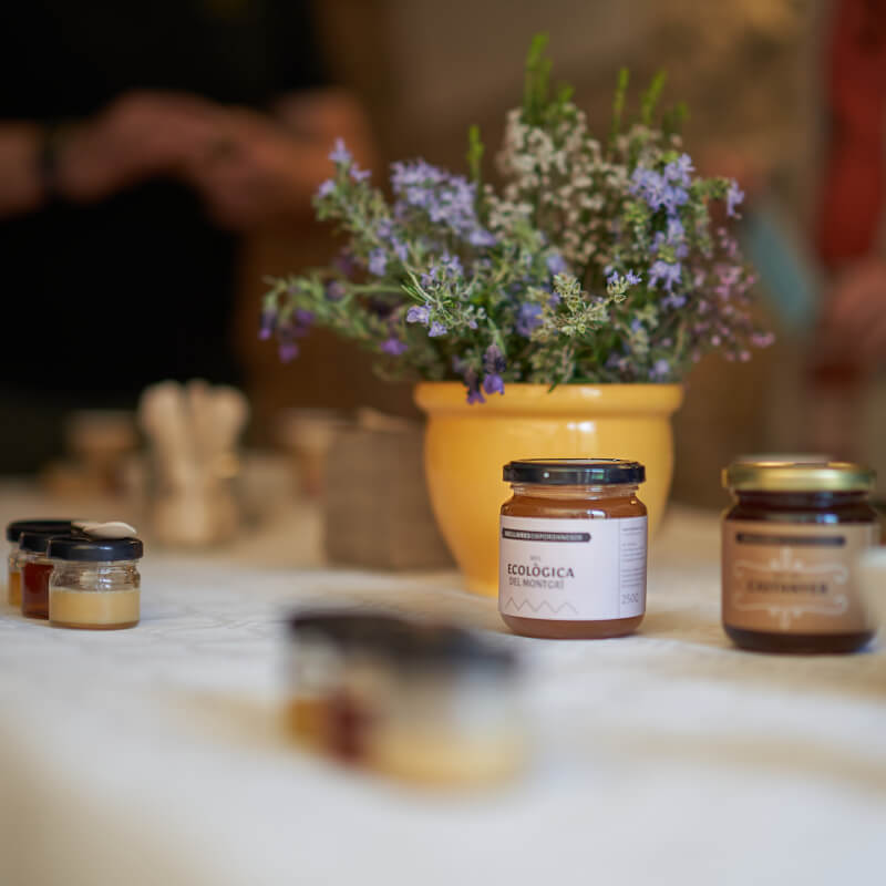 Visita-2 Tast de mels