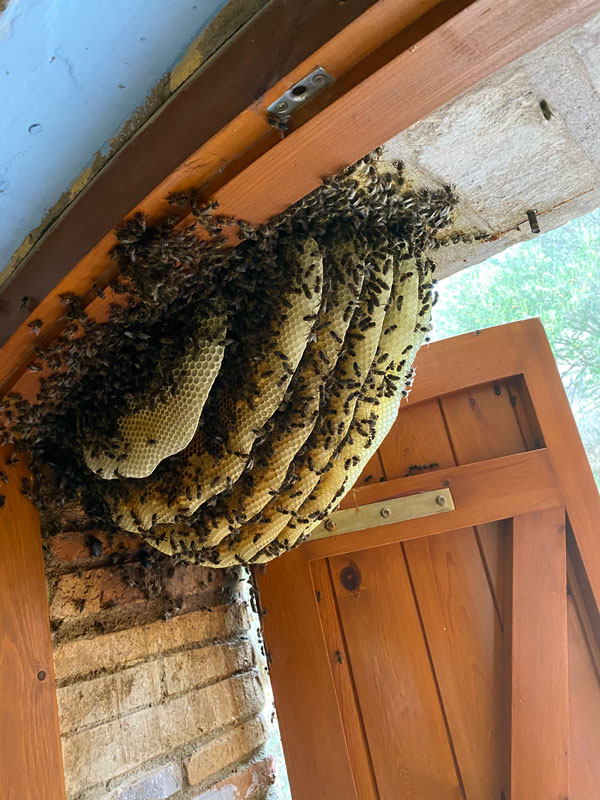 eixam-abelles Eixam-abelles