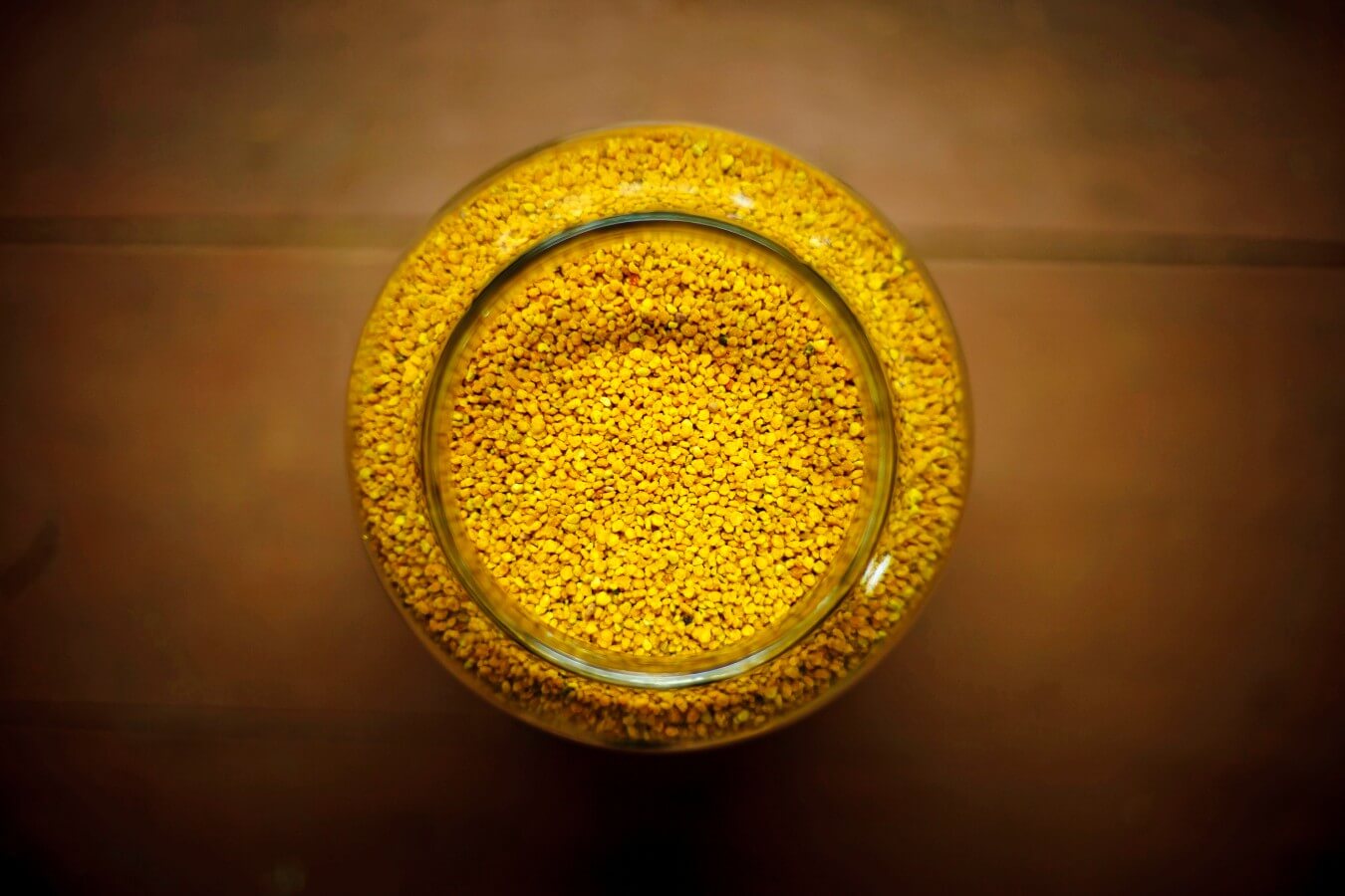 pol·len-pot Pot de pol·len